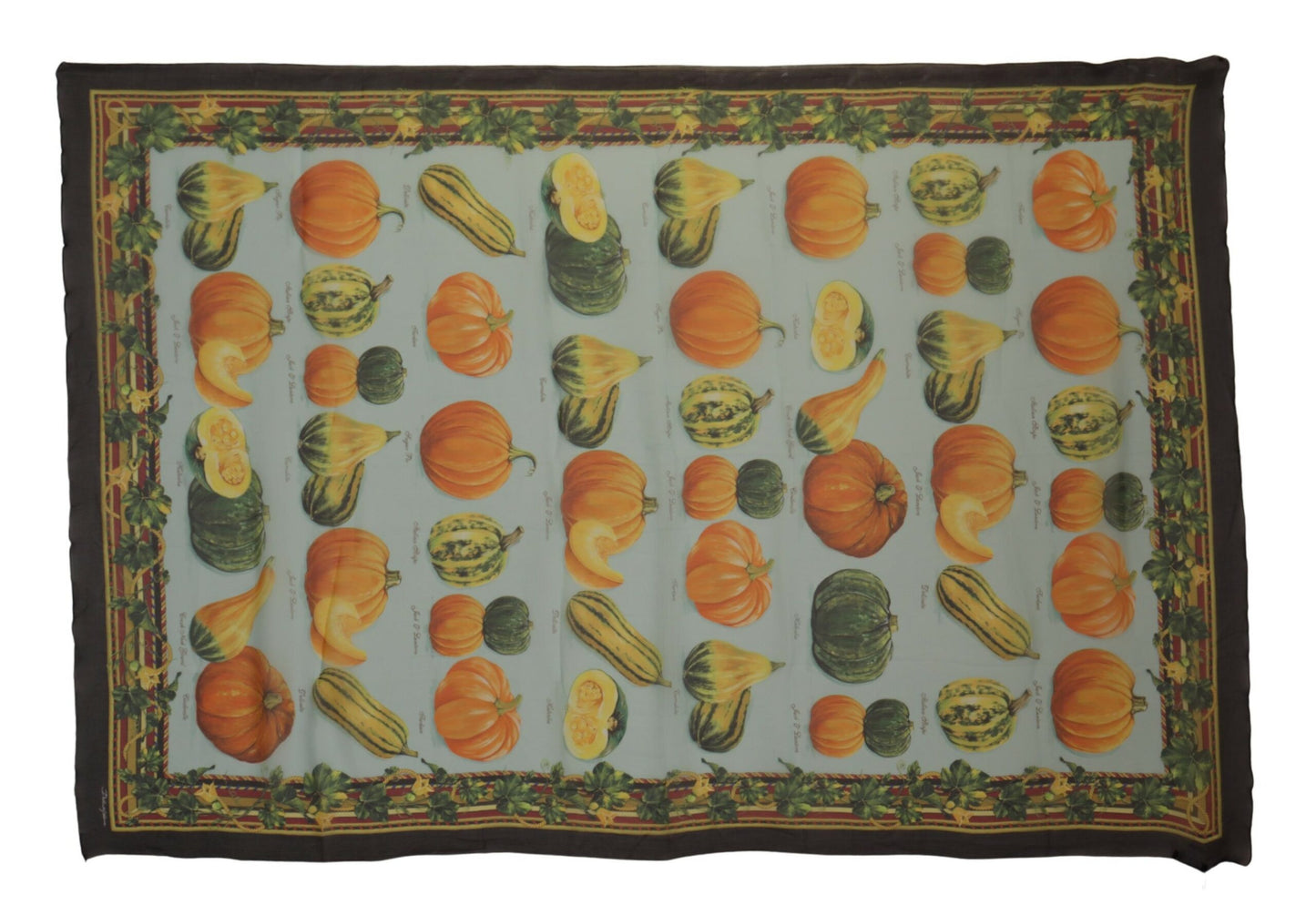 Multicolor Silk Vegetable Print Shawl
