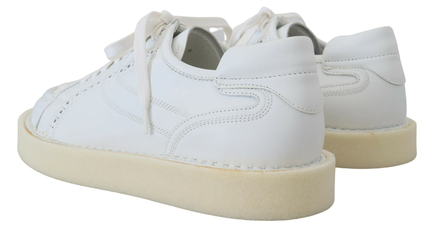 Elegant White Low Top Oxford Sneakers