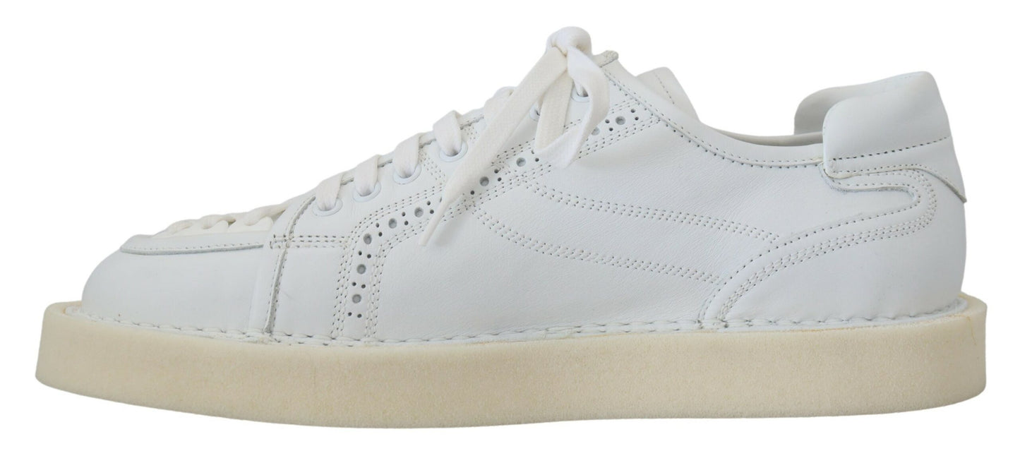 Elegant White Low Top Oxford Sneakers
