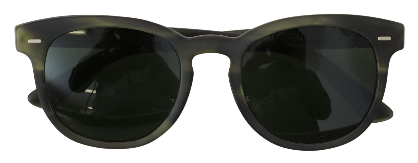 Chic Havana Green Designer Sunglasses