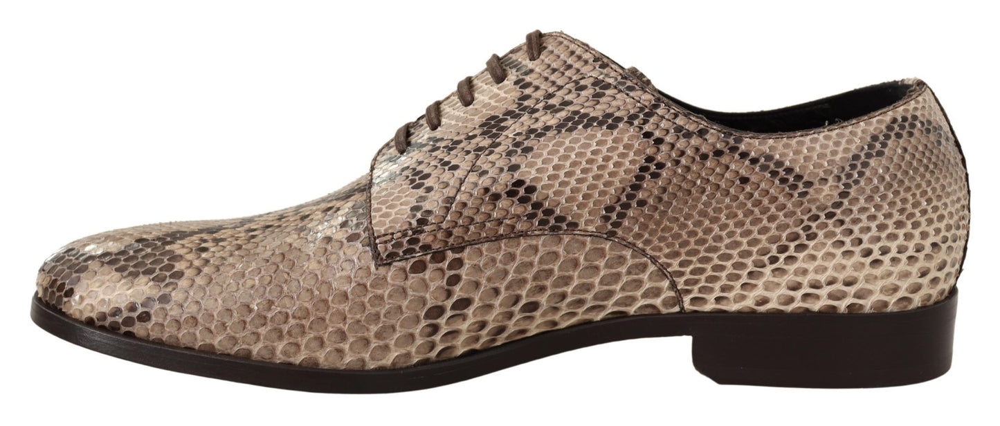Beige Python Oxford Dress Shoes for Men